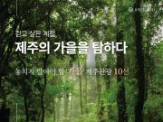 ‘걷고 싶은 계절, 제주의 가을을 탐하다’ 제주관광 10선 발표