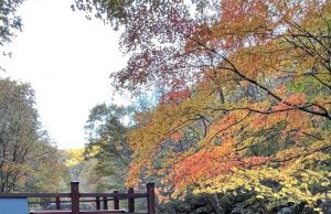 경기도 추천 가을 단풍 명소 ‘연인산 명품 계곡길’
