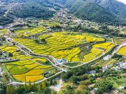 함안군 ‘여항 주주골 다랑논’ 관광자원 발굴