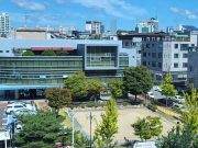 안동시, 2023년 장애인의 문화예술 향유 기회 확충한다