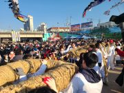 영천시, 정월대보름 시민 한마당 성황리에 개최