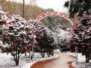 신안군, “섬 겨울꽃 축제” 성대하게 마무리