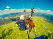 나만의 여행, ‘경남 5대 테마 버스투어’