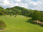 영화 같은 야외웨딩 꿈꾼다면, 청남대에서