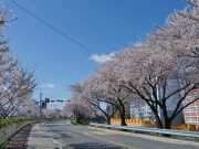 밀양시, 2023 방문의 해 맞아 풍성한 지역 축제 개최