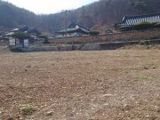 밀양시, 2023 밀양 방문의 해 상춘객 맞이 준비