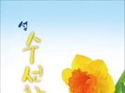 신안군, “섬 수선화 축제” 3월 30일 개막