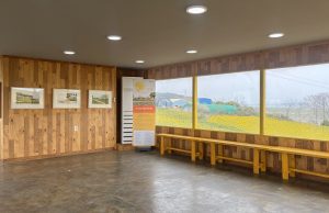 신안군, 수선화 섬 선도 풍경을 담은 펜담채화 작품 전시회 개최