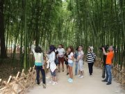 울산시, 관광업계 120여 명 초청 팸투어 진행