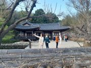 하동군, 일상으로 복귀 상춘객 급증한다