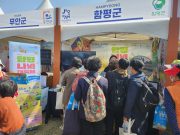 함평군, ‘전남 방문의 해 서울페스티벌’ 홍보관 운영