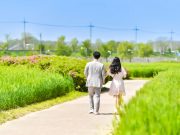 함안군, 제1회 칠서 생태공원 청보리·작약 축제 개최