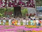 함평군, ‘나비와 꽃의 향연’ 함평 나비대축제