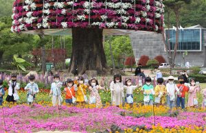 함평군, ‘나비와 꽃의 향연’ 함평 나비대축제