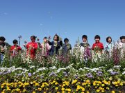 제25회 함평나비대축제 28일 개막