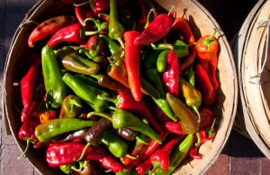 미각을 자극할 미국 여행지