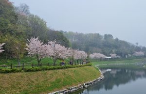 목폭시, 녹색 둘레길·명품 숲으로 살아 숨쉬는 목포를 만든다