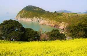 전남도가 소개하는 4월 추천 관광지