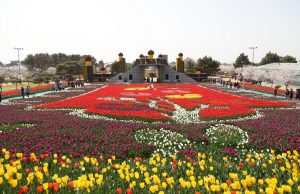 충남 태안으로 봄꽃축제 떠나요!