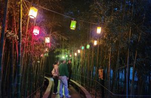 담양, 달빛산책투어 참가자 모집