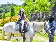 함안군, 승마공원 방문인증 SNS 이벤트 진행