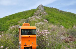 함양군, 진달래꽃· 철쭉꽃 피는 함양대봉산휴양밸리 봄나들이 명소