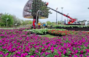 함평나비대축제, 축제 현장에 꿈과 희망의 대형 꽃탑 올리다