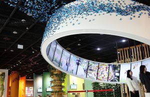 함평군, 새단장 마친 엑스포공원 나비·곤충생태관 ‘손님맞이’