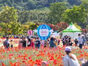 울산시, ‘2023 태화강 국가정원 봄꽃축제’ 개최