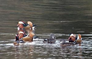 익산시, 자연·사람 공존하는 ‘생태관광 메카’ 부상