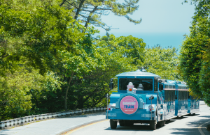 부산관광공사 태종대유원지 5월 관객 참여 공연 등 다채로운 이벤트 진행