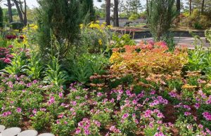 대전시, 2023 한밭수목원 봄꽃 축제 개최