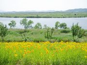 “함안 악양생태공원에서는 당신이 꽃”