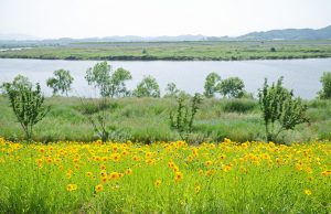 “함안 악양생태공원에서는 당신이 꽃”