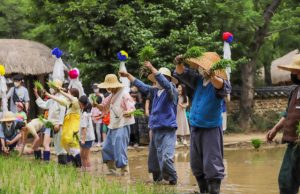 한국민속촌, 도심 속 농번기 체험 ‘양기철철 단오’ 진행