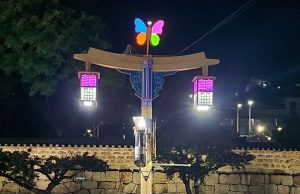 밀양시, 아랑나비에 생기를 불어넣다