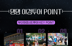 부산시티투어, 반려견과 함께하는 특별야경투어 운영