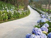 신안군, ‘2023년 찾아가고 싶은 여름 섬’ 도초도 선정