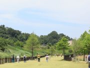 함평군, 제14회 함평천지배 전국파크골프대회 ‘성료’