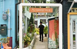 정선군, 고향을 담은 문화예술정원 골목길 정원박람회 개최