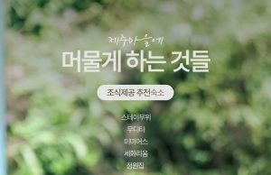 색다른 찐로컬 여행 ‘제주 마을에 머물게 하는 것들’