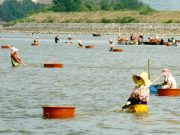 하동 섬진강 재첩잡이 손틀어업 세계중요농업유산 등재