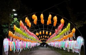 함양군, 제18회 함양산삼축제 소망등 접수
