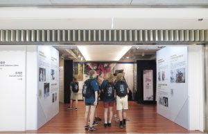 문체부, 잼버리 참가자 청와대‧K-컬처 체험 적극 지원