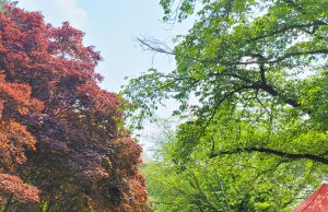 안동시, 전통주와 함께하는 ‘월영 특별 장터’개최