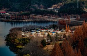 광주시 도심 속 캠핑장 입소문,연꽃·맥문동 등 여름꽃 명소 인기