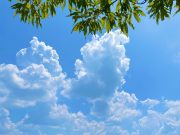 인기 드라마 ‘악귀’ 흥행 하회마을 인기 관광지로 부상