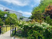 대전시, 도심 속 숨은 명소 지정