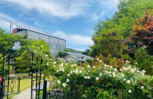 대전시, 도심 속 숨은 명소 지정