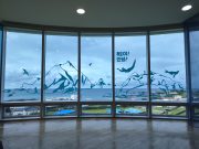 울릉도, 독도박물관-해녀박물관 공동기획전시회 개최